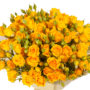 spray roses yellow-3