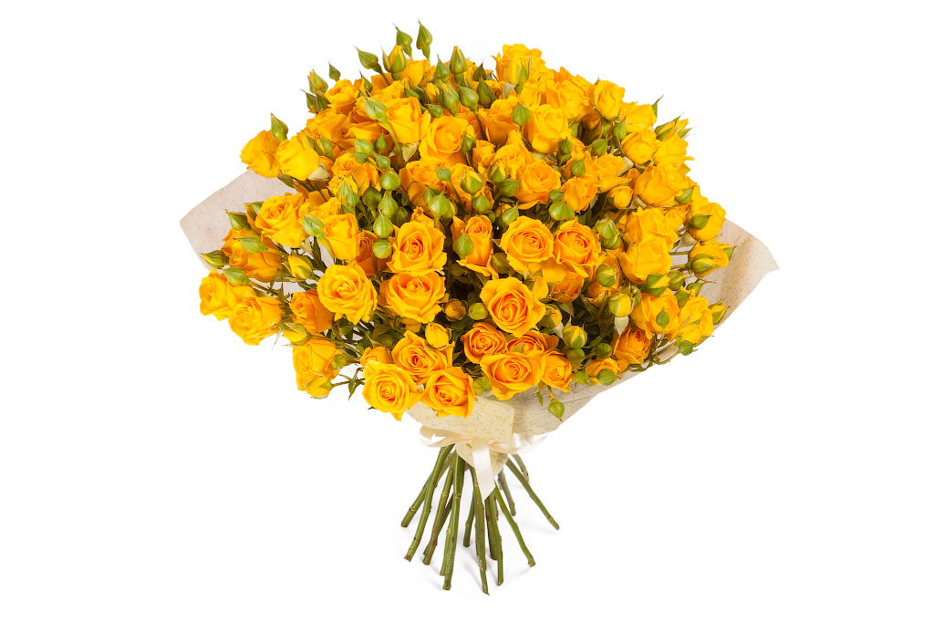 Spray roses yellow